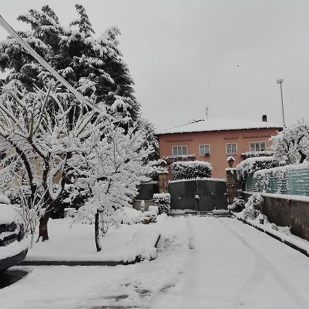 弗拉斯卡蒂Al Vecchio Olivo住宿加早餐旅馆 外观 照片