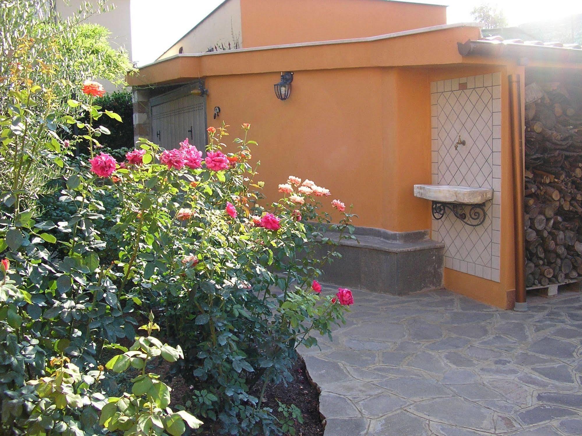 弗拉斯卡蒂Al Vecchio Olivo住宿加早餐旅馆 外观 照片